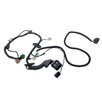 фото thumb №10, Джгут двері лівих ford tourneo connect