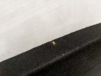 фото thumb №7, Bmw x1 e84 полиця багажника задня задня 2991800