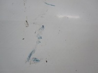 фото thumb №6, Doblo ii combo d lift 15r двері ліва бічний