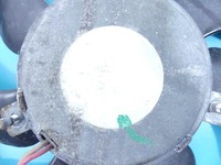 фото thumb №7, Вентилятор кондиціонера vw passat b7 2.0 tdi