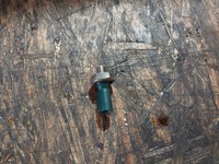 фото thumb №7, Датчик давления масла seat leon iii 1.2tsi cyv 036919081c