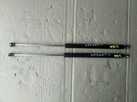 фото thumb №1, Амортизаторы крышки задняя renault laguna ii hb