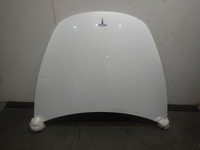 фото thumb №1, Капот tesla 3 2017-