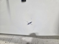 Bmw x3 g01 x4 g02 крыло  левое  передний Киев, фото thumb