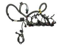 Купити Джгут двигуна iveco daily 2.3 2006-, фото thumb