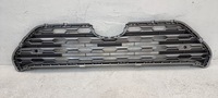 фото thumb №1, Решётка средняя toyota rav4 v 19-