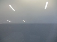 фото thumb №5, Двері лівий перед renault scenic ii ny632