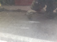 фото thumb №4, Двері лівий перед alfa romeo 159 601