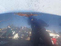 фото thumb №12, Toyota auris i 1 06-09 капот кришка двигуна