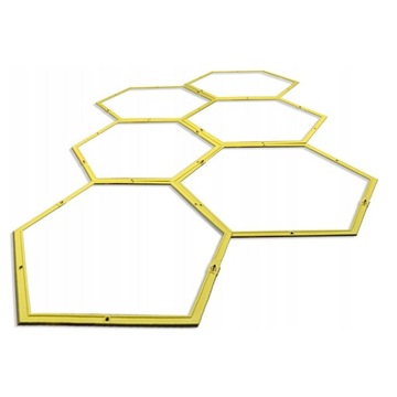 ЛЕСТНИЦА КООРДИНАЦИОННОГО ОБУЧЕНИЯ DUNLOP