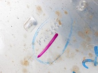 фото thumb №4, Труба випускна глушник citroen c5 aircross 1.2 thp