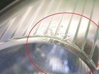 фото thumb №4, Фара лампа левая перед kia rio i dc fl 02-05