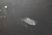 фото thumb №10, Дверь правое перед передние серые renault kangoo 2 ii 13-21