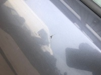 фото thumb №4, Ліві задні двері лівий зад opel astra h 2004-2008 z155