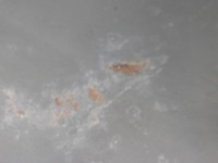 фото thumb №6, Крыло переднее левый mazda tribute ep 2003r 2.0b