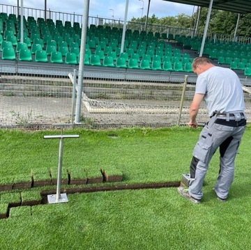 Otwornica do trawy babkownica do trawników muraw