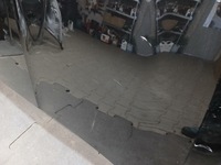 фото thumb №8, Капот skoda scala