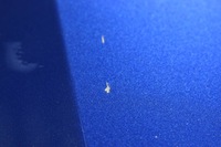 фото thumb №8, Bmw 4 i4 g26 дверь задние левая левый зад цвет c31