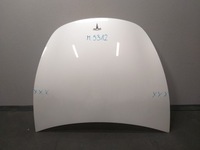 фото thumb №1, Капот tesla y