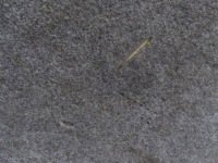 Купить Renault magnum e-tech кровать лежак dół нижние матрас, фото thumb