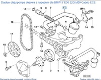 фото thumb №5, Шланг всмоктуючий 1730465 e36 z4