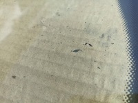 фото thumb №3, Стекло передняя лобовое mercedes w205 c-klasa