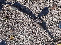 фото thumb №5, Peugeot 206cc 206 рулевая рейка 1.6 b nfu europa