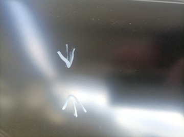 фото thumb №9, Дверь правые передние renault clio iv новое оригинал 801008302r