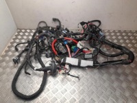 Жгут передних левых дверь tesla p248905801b 2022 Киев, фото thumb