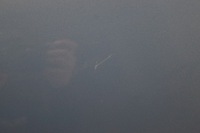 фото thumb №11, Дверь правый перед audi a4 b8 lx5x