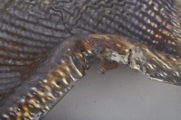 Mclaren mp4 spider накладка теплова 11e0152cp в Україні, фото thumb