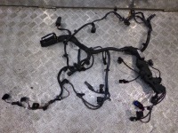 фото thumb №1, Mini r55 lci r56 lci r58 r59 r60 r61 n47n жгут провод двигателя 8574240