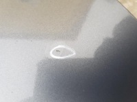 фото thumb №6, Крыло правый перед nissan qashqai j10 lift b52g