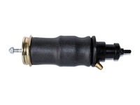 фото thumb №1, Амортизатор кабины scania 4/r подушка