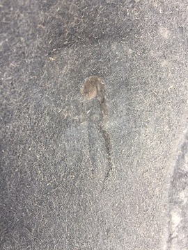 фото thumb №9, Audi a8 d4 подкрылок обшивка левая передние перед