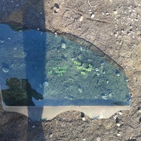 фото thumb №1, Стекло дверь правые перед polo панель крепления фар 9n 5 дверь