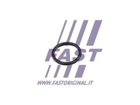 фото thumb №2, Fast ущільнювач kangoo 08- труба охолодження