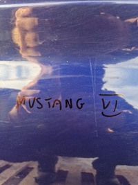 фото thumb №13, Ford mustang vi двері ліва перед передні