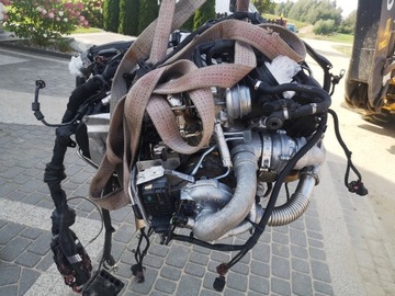 фото thumb №7, Audi q5 3.0 tdi v6 двигун cgq