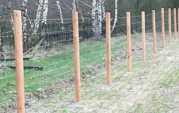 Скобы монтажные для лесной сетки 2,5х25мм 100 шт.