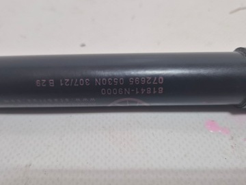 фото thumb №10, Hyundai tucson iv 21-siłownik кришки usa