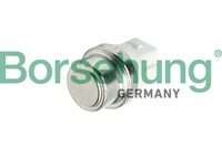 фото thumb №8, Датчик температури borsehung b18288