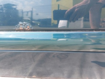 фото thumb №9, Mercedes w210 двері лівий перед 269