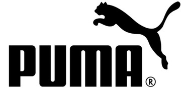 Krótkie spodenki męskie Puma teamRISE 704942 06