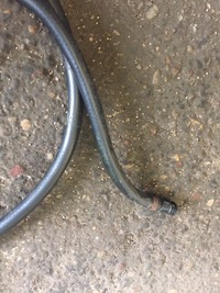 фото thumb №9, Audi a5 8t wąż шланг омивача лампа ксенон