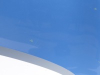 Капот крышка двигателя оригинал lak terpb renault megane 3 09-13r. хэтчбек Доставка, фото thumb