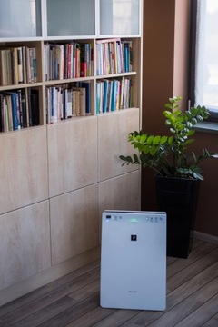 Очиститель воздуха + увлажнитель воздуха Sharp KC-F32EU-W до 21м