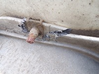 фото thumb №8, Підніжка підніжка права правий renault midlum h