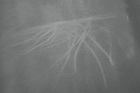 фото thumb №12, Права бічна захист стійка vw id.5 e39 10a867291 electric 2021