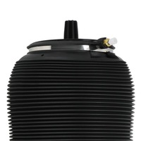 фото thumb №14, Подушка підвіска miechowego задня audi allroad quattro a6 4f c6 4f0616001